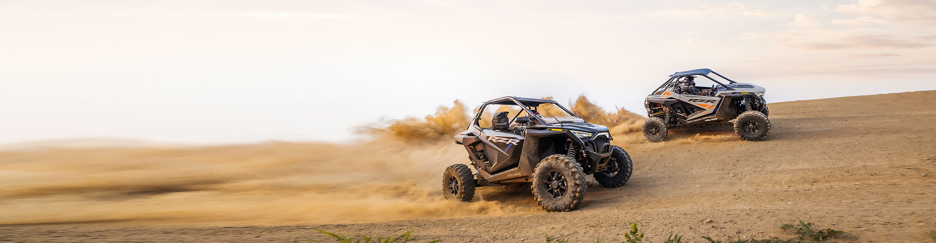 Rzr PRO XP®